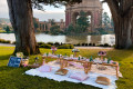 Pink and Gold Picnic Set Up with view of Palace of Fine Arts in the Presidio,