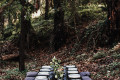12 person picnic setup in the woods with purple pillows.