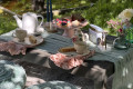 Tea time at a cute professional picnic set up.