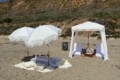 white themed luxury picnic in LA