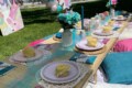 Unicorn theme luxury picnic celebration in the Bay Area