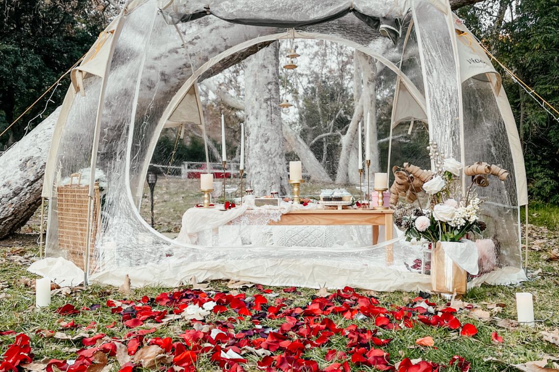 Romantic bubble tent picnic in Los Angeles with rose petals