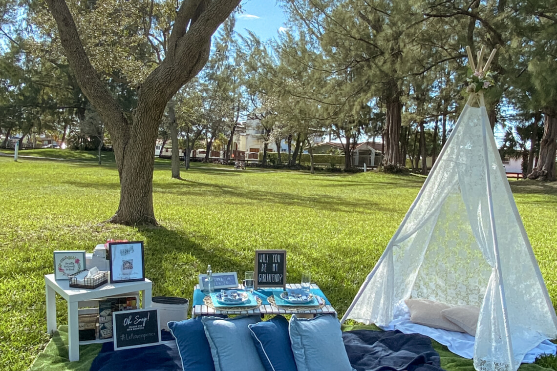 Blue-themed luxury picnic at a park in Miami, FL