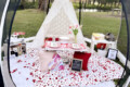 Romantic birthday picnic set up at the park